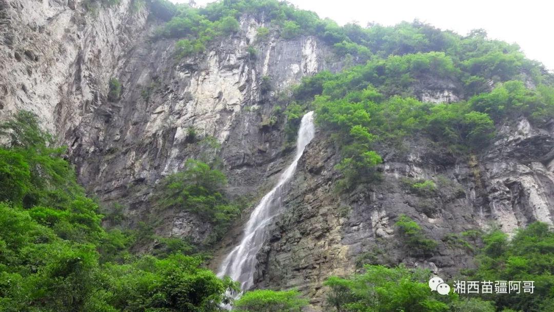 逃离制药厂